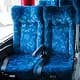 Asiento Semicama Micro Nandu Del Sur Thumbnail 002