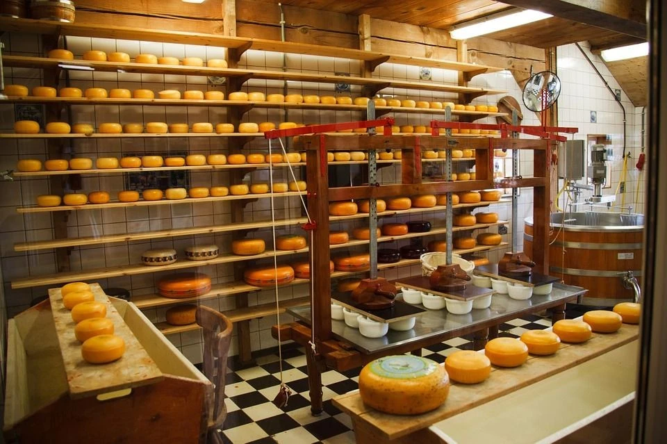 Fábrica de quesos artesanales PROCOLE