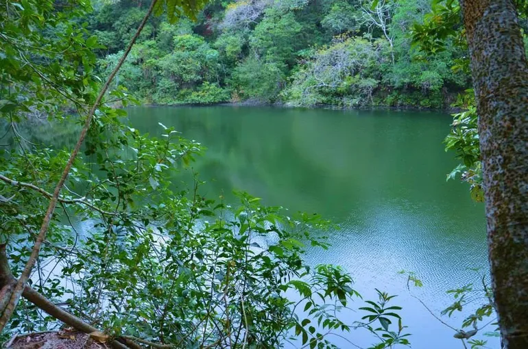 Aguas verdes y la vegetación alrededor del lago.