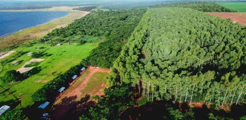 Imagen aérea de los bosques.